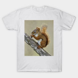 Red Squirrel T-Shirt